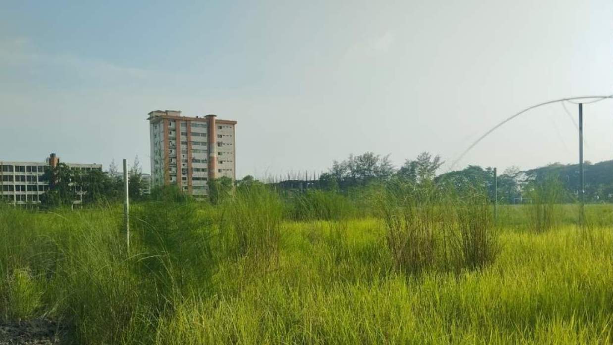 দুটি খুঁটি ছাড়া বুঝার উপায় নেই এটি ভলিবল কোর্ট