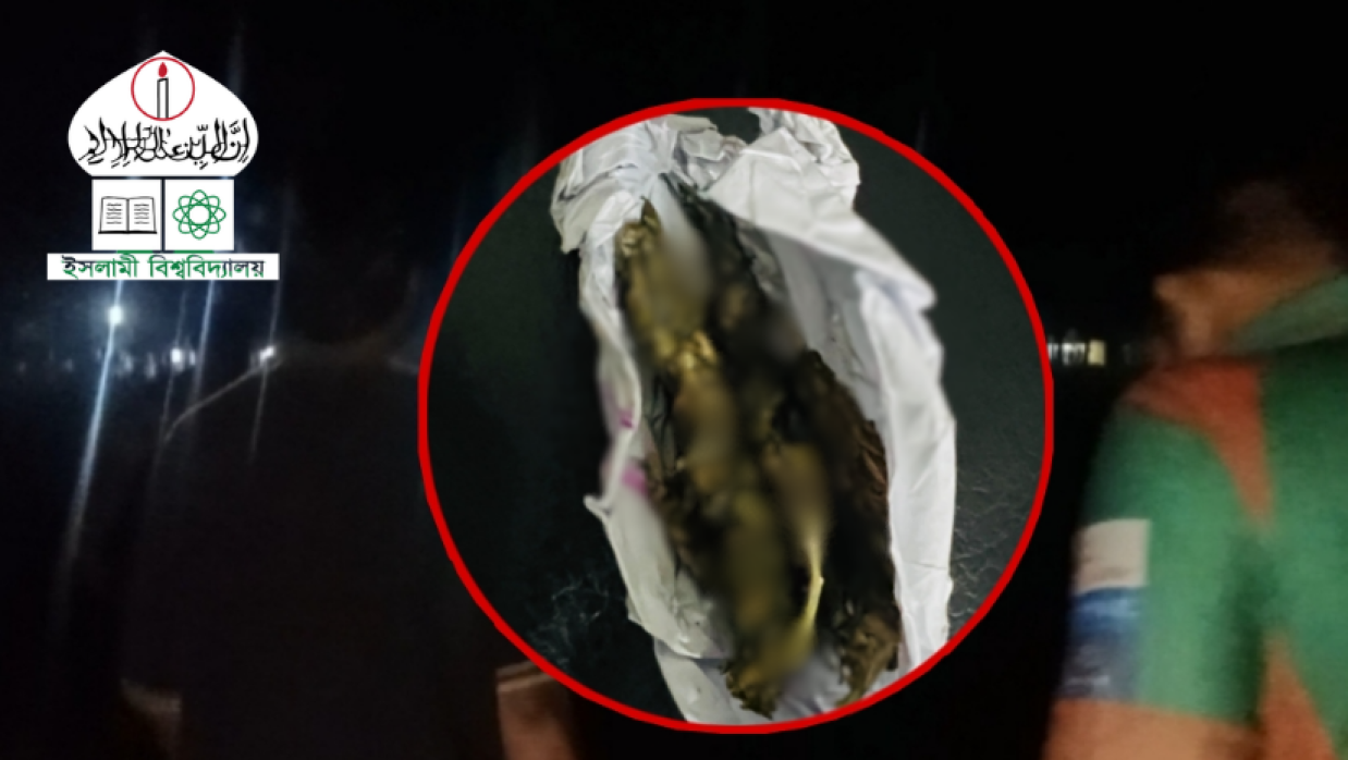 ইসলামী বিশ্ববিদ্যালয়ে উদ্ধারকৃত গাঁজা