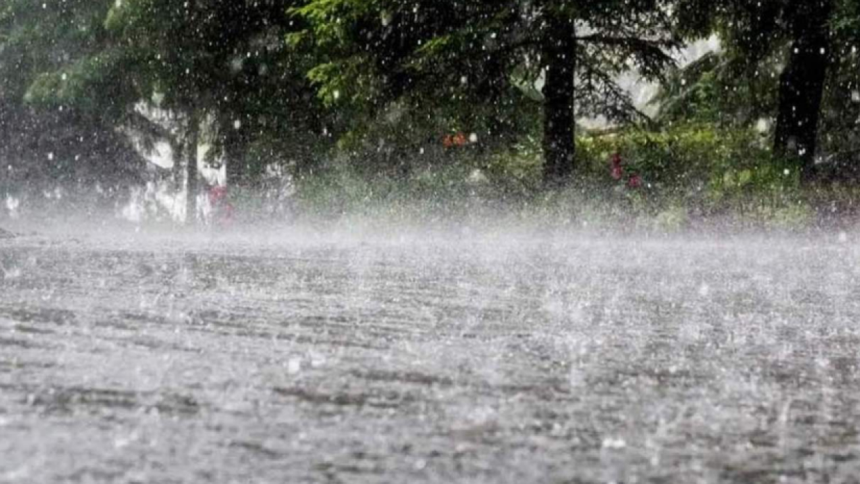 প্রতীকী ছবি