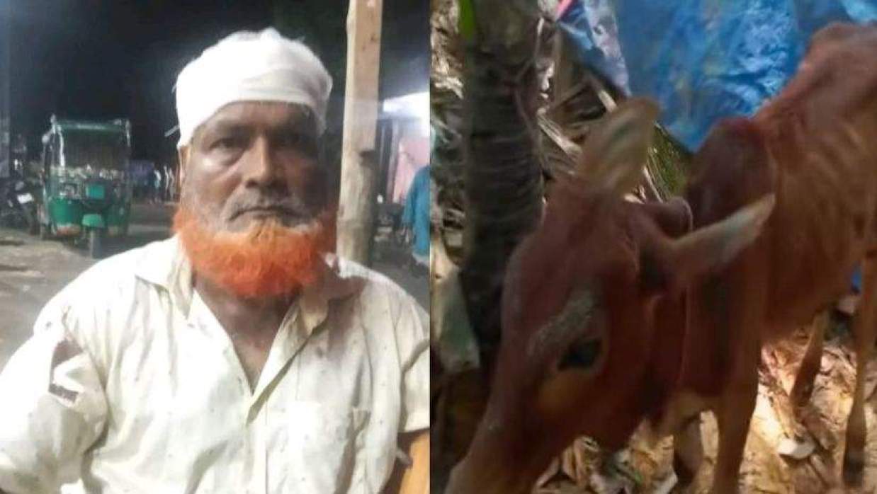  বিএনপি নেতা দেলু ও উদ্ধারকৃত গরু 