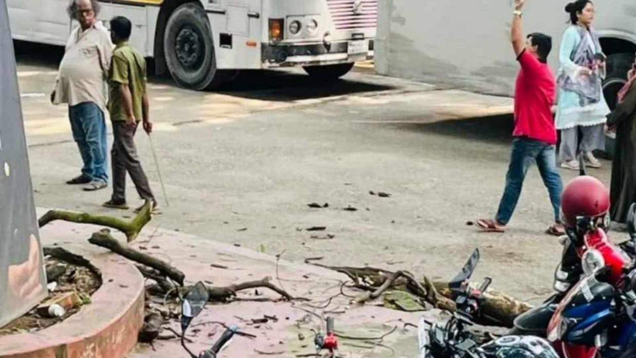 ক্যাফেটেরিয়ার সামনের গাছের বড় মরা ডাল ভেঙে পড়েছে। 