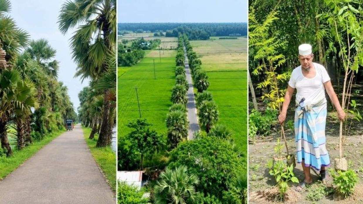 ৩০ বছর ধরে বৃক্ষরোপণ করে আসছেন ভোলার চরফ্যাশন উপজেলার ওমরপুর ইউনিয়নের মো. রেজাউল কিবরিয়া বাবুল।
