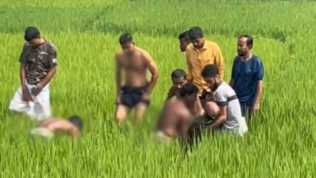 কৃষিজমিতে কাজ করতে গিয়ে বিদ্যুতের ছেঁড়া তারে জড়িয়ে দুই চাচাতো ভাইয়ের মৃত্যু