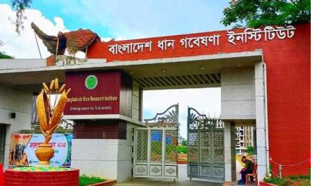 বাংলাদেশ ধান গবেষণা ইনস্টিটিউটে কর্মকর্তা নিয়োগে বিজ্ঞপ্তি, আবেদন ১৩ সেপ্টেম্বর পর্যন্ত
