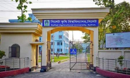 ১১ প্রশাসনিক পদ থেকে সাদা দলের ৯ শিক্ষক-কর্মকর্তার পদত্যাগ