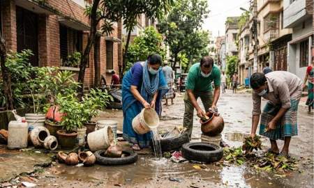 পানি জমলেই বাড়ে এডিসের বংশবৃদ্ধির ঝুঁকি, ডেঙ্গু থেকে নিরাপদ থাকতে যা করবেন