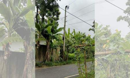মিরসরাইয়ে রাতের আঁধারে ট্রান্সফরমার চুরি, অন্ধকারে ৭০ পরিবার