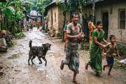 দুই দিনে পাগলা কুকুরের কামড়ে শিশুসহ আহত ২৮