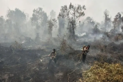 ইন্দোনেশিয়ার আগুনের বিষাক্ত ধোঁয়া ছড়াল প্রতিবেশী দেশগুলোতেও
