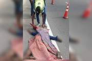 ঢাকা এলিভেটেড এক্সপ্রেসওয়েতে অজ্ঞাত মরদেহ উদ্ধার
