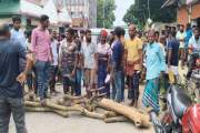 সারের দাবিতে ঝিনাইদহে সড়ক অবরোধ করে কৃষকদের বিক্ষোভ