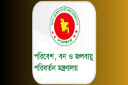 বনশিল্প উন্নয়ন করপোরেশনে ১১২ পদে বড় নিয়োগ