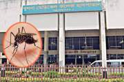 ডেঙ্গুর প্রকোপ: খুলনায় হাসপাতালে বাড়ছে রোগীর ভিড়