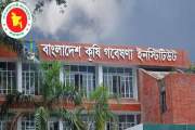 বাংলাদেশ কৃষি গবেষণা ইনস্টিটিউট নিয়োগ দেবে ৩০১ কর্মকর্তা-কর…