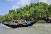 সুন্দরবনে বনদস্যুদের হাতে ৫ জেলে অপহরণ