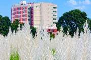 শরতের রঙে-রূপে মায়াবী এখন মাভাবিপ্রবি