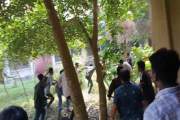 বাসে মারামারি কেন্দ্র করে ফের সংঘর্ষে জড়াল ইবির দুই বিভাগ, …