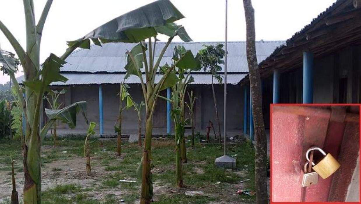 পুত্রবধূকে ‘চাকরি না দেওয়ায়’ স্কুলে তালা দিলেন  ম্যানেজিং কমিটির, মাঠে লাগালেন কলাগাছ