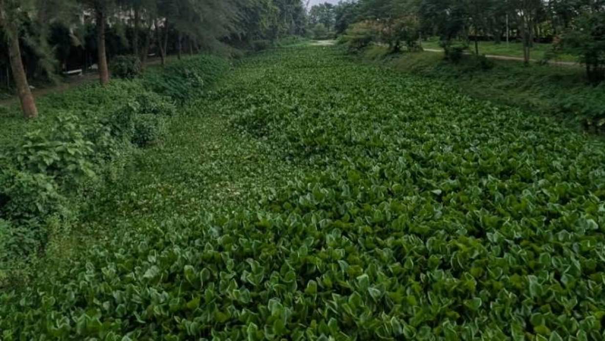 ইসলামী বিশ্ববিদ্যালয়ের একমাত্র লেক