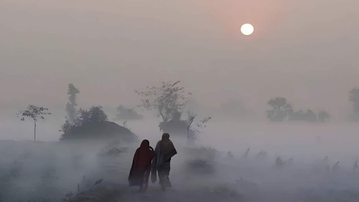 কুয়াশায় ঘেরা সকাল