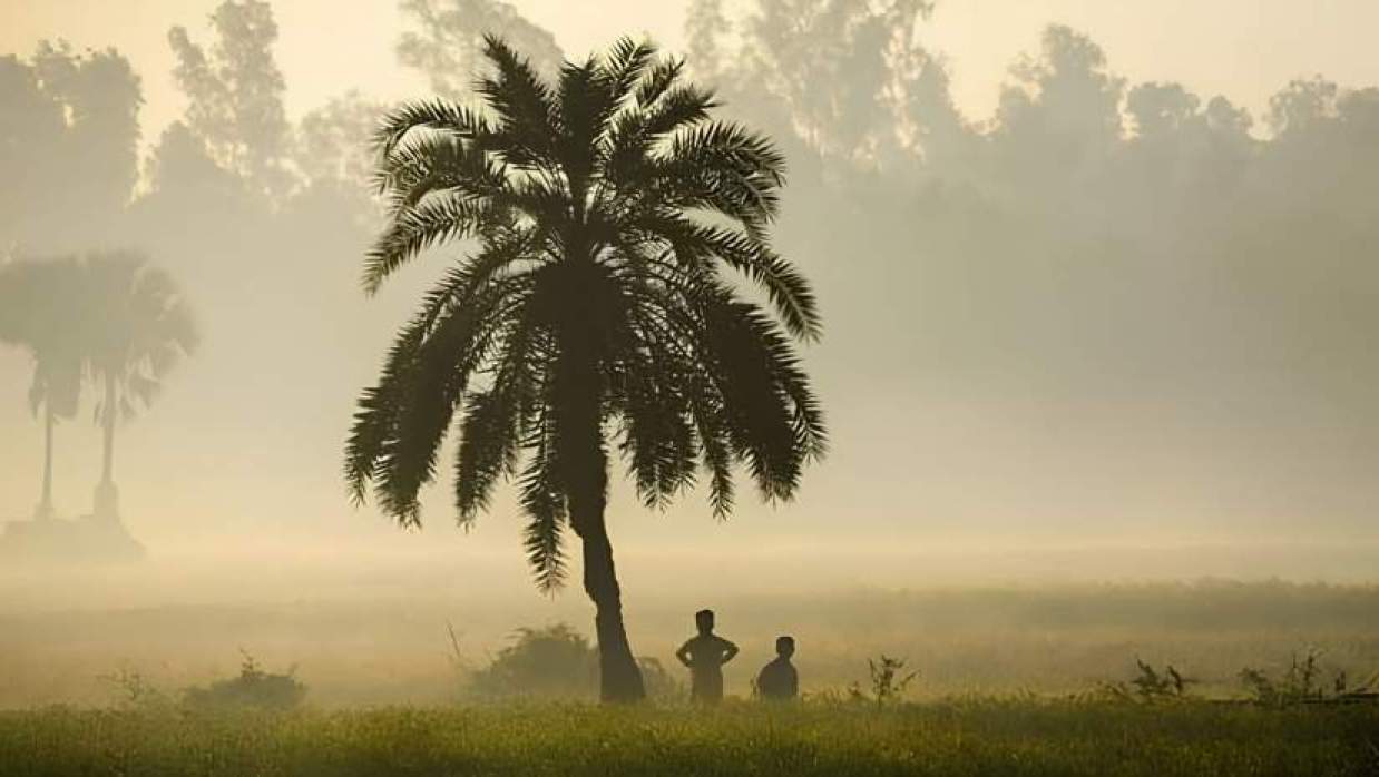 হালকা কুয়াশায় ঘেরা সকাল