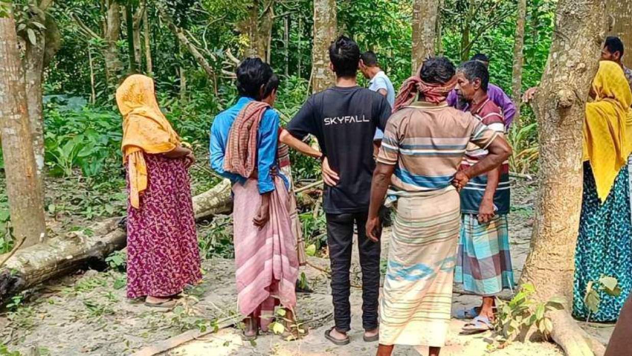 গাছ কাটতে গিয়ে গাছের নিচে চাপা পড়ে মারা যান দিনমজুর শফি। শনিবার দুপুরে পাবনার চাটমোহর উপজেলার বাহাদুরপুর পশ্চিমপাড়া গ্রামে