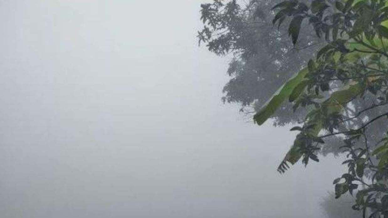  শীতের সকাল 