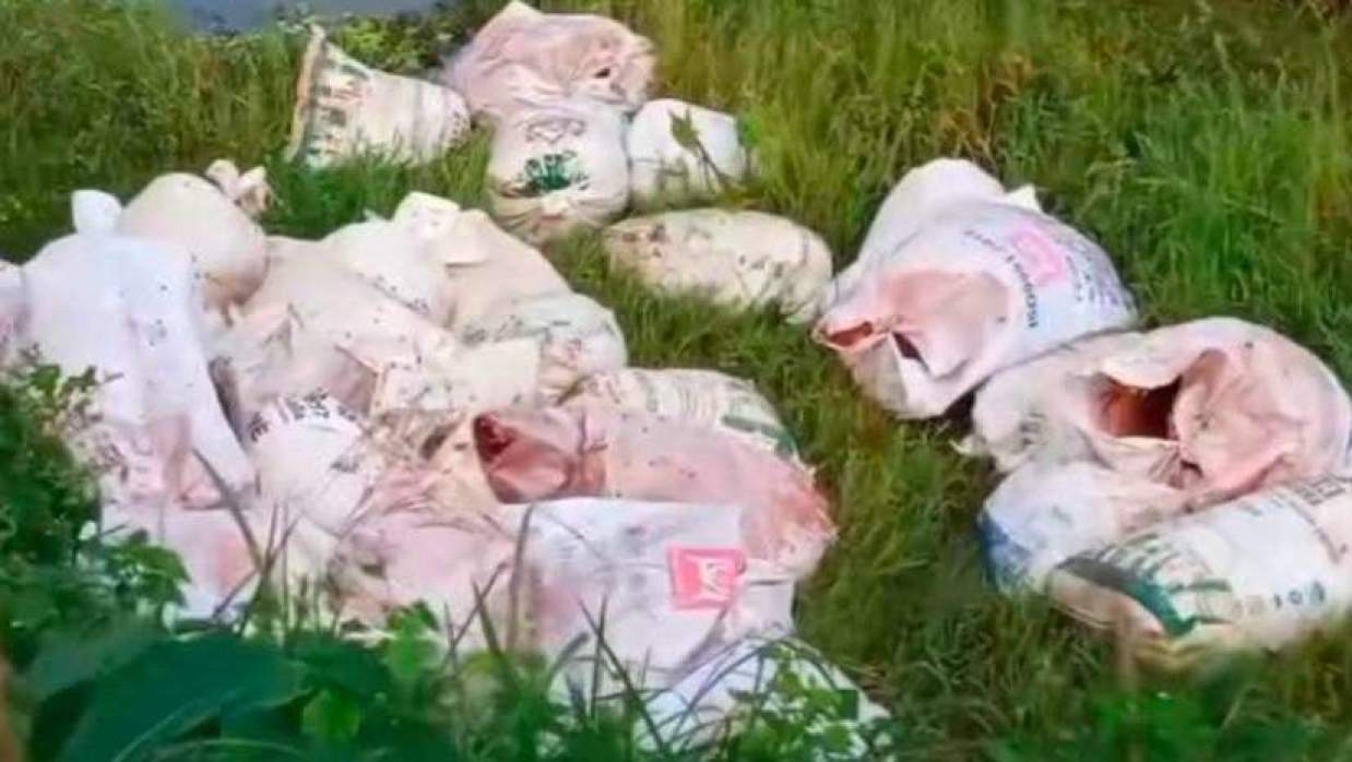 বস্তায় ঘোড়ার হাড়গোড়