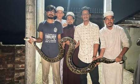 চট্টগ্রাম বিশ্ববিদ্যালয়ে ১৪ ফুট দৈর্ঘ্যের অজগর উদ্ধার
