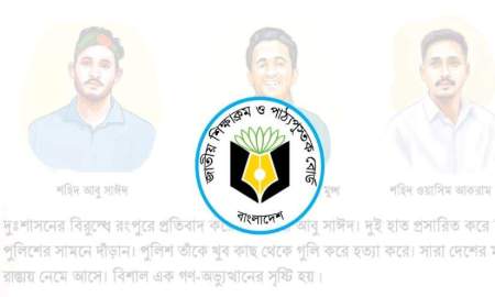 প্রাথমিকের বইয়ে আবু সাঈদ-মুগ্ধ-ওয়াসিম, যেভাবে তুলে ধরা হয়েছে তাদের অবদান