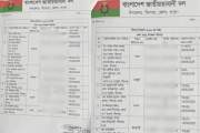 বাদ যায়নি নেতাদের স্ত্রী-কন্যা, একাকার বিএনপি-আওয়ামী লীগ-জা…