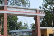 ছোট ভাইয়ের লাঠির আঘাতে প্রাণ গেল বড় ভাইয়ের