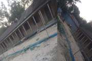 হাইস্কুলের সামনের মাঠ থেকে ৫টি গাছ কেটেছে দূর্বৃত্তরা