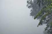 শীত কবে থেকে শুরু, যা জানাল আবহাওয়া অধিদপ্তর