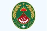 আনসার-ভিডিপিতে ২২৮ পদে চাকরি, আবেদনে বাকি ৩ দিন