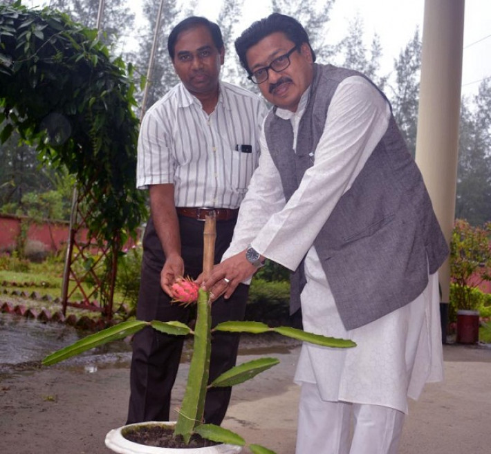 সংগৃহীত