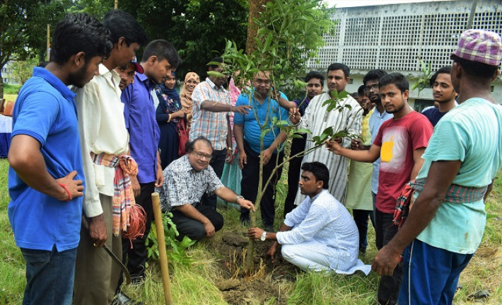 রাজশাহী বিশ্ববিদ্যালয়ে রোটার‌্যাক্ট ক্লাবের বৃক্ষরোপন