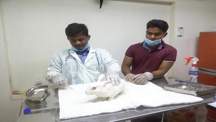 খরগোশের দাঁতের সার্জারির জন্য প্রস্তুতি নিচ্ছেন 
ডা. মো. সাদ্দাম পাটোয়ারী ও তাঁর সহকারী মিরাজুল ইসলাম। 