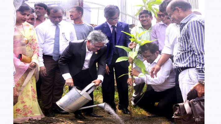 বৃক্ষরোপন কর্মসূচির উদ্বোধন করছেন উপাচার্য অধ্যাপক আখতারুজ্জামান