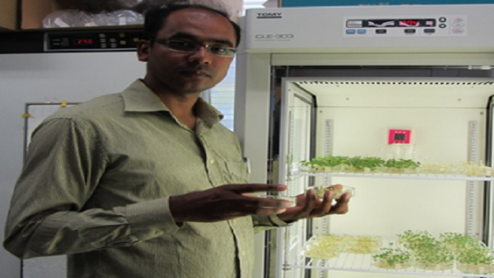 কৃষিতত্ত্ব বিভাগের অধ্যাপক ড. মীর্জা হাছানুজ্জামান।