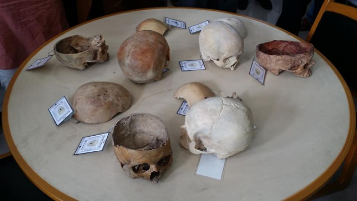 লাইব্রেরির ভেতরে স্থান পেয়েছে মানবদেহের মাথার খুলি