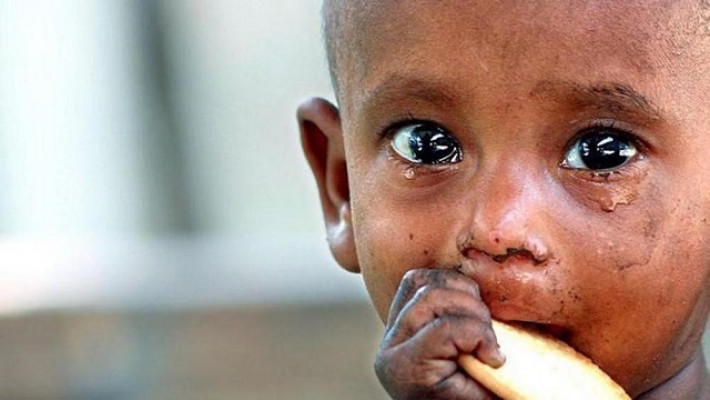 বিশ্ব খাদ্য সূচকে প্রতিবেশীদের থেকে এগিয়ে বাংলাদেশ