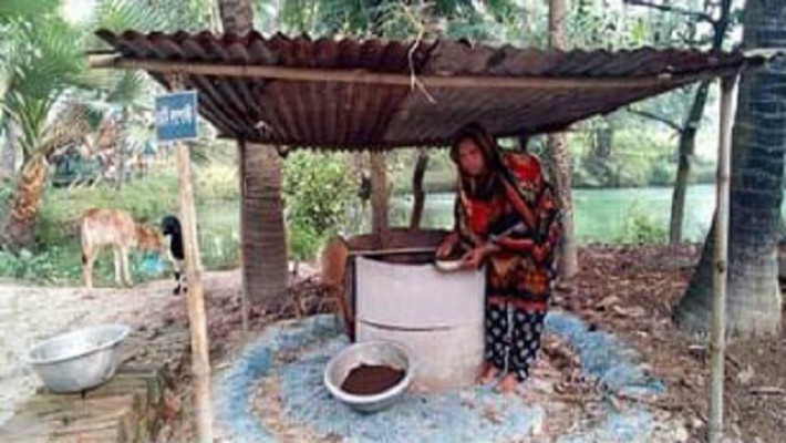 ভার্মি কম্পোস্ট (কেঁচো সার) সংগ্রহ করছেন কৃষাণী গোলাপী খাতুন