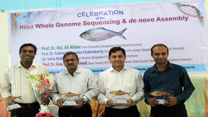 ইলিশের জীবন রহস্য উন্মোচনকারী চার গবেষক