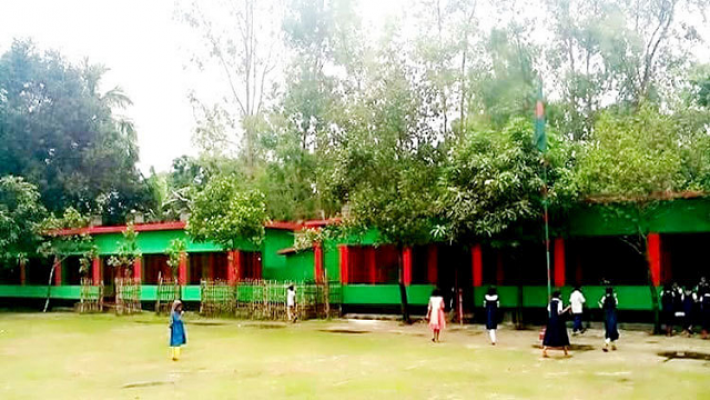 লাল-সবুজের স্কুল