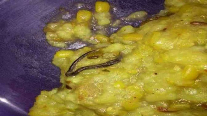 স্কুলে বিনামূল্যের খাবারে মৃত সাপ! 