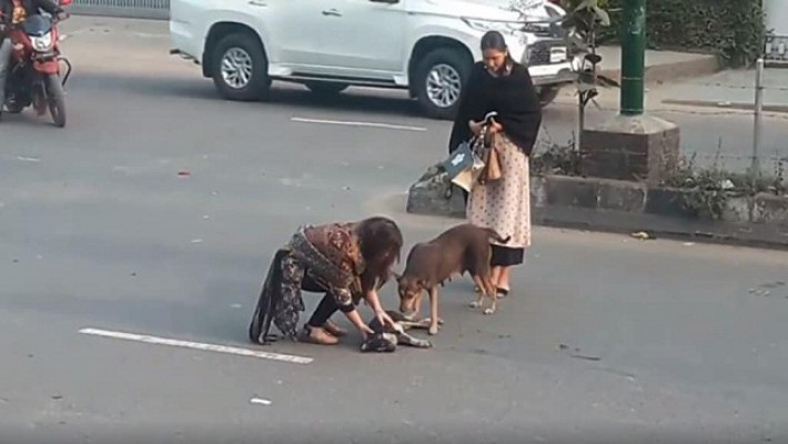 রাস্তা পারাপারের সময় গাড়িচাপায় নিহত কুকুররের বাচ্চাটিকে কোলে তুলে নিচ্ছেন এক তরুণী