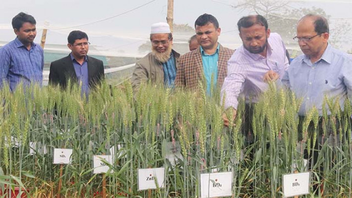 গবেষক দলের সদস্যরা