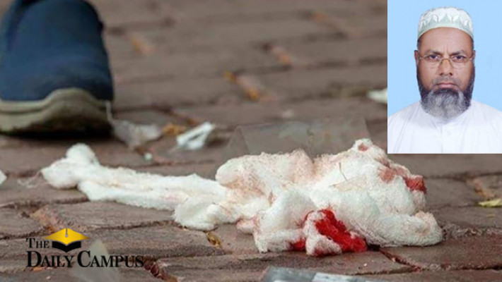 ইনসেটে অধ্যাপক ড. মো. আবদুস সামাদ