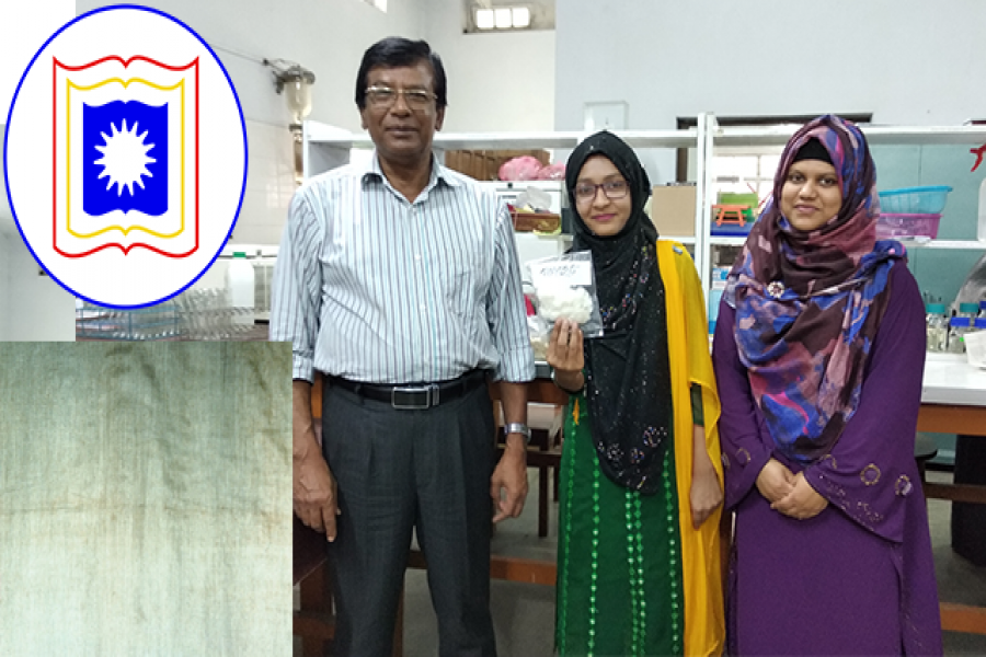 প্রাচীন মিশরীয় তুলার সন্ধান পেলেন রাবির গবেষকদল